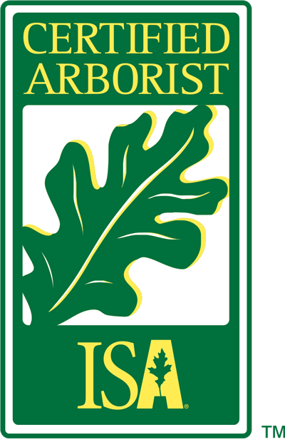 ISA Member