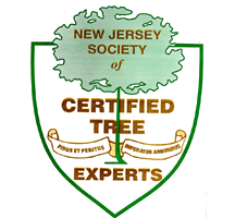 NJ Licensed Tree Expert
