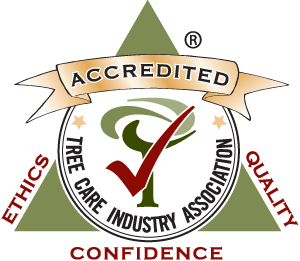 TCIA Accredited