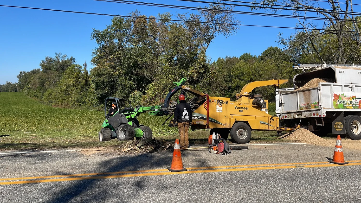 Tree Awareness emergency crew clearing a roadside tree after storm damage