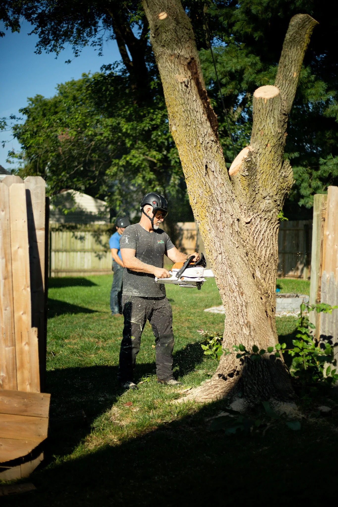 Tree removal after lightning strike