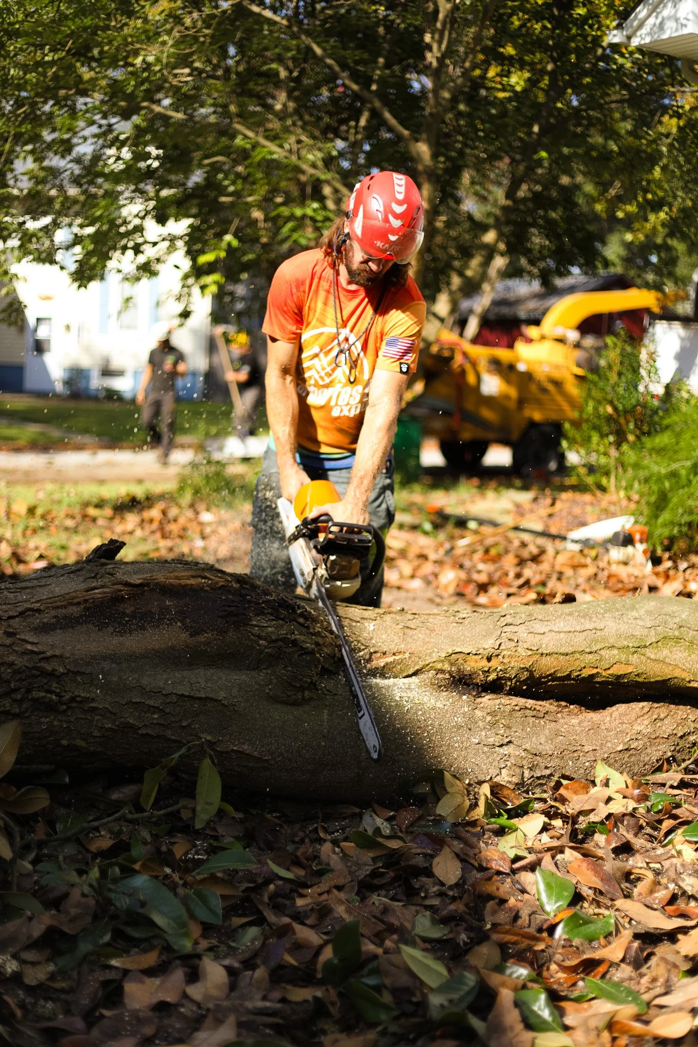 Aerial tree risk assessment in progress