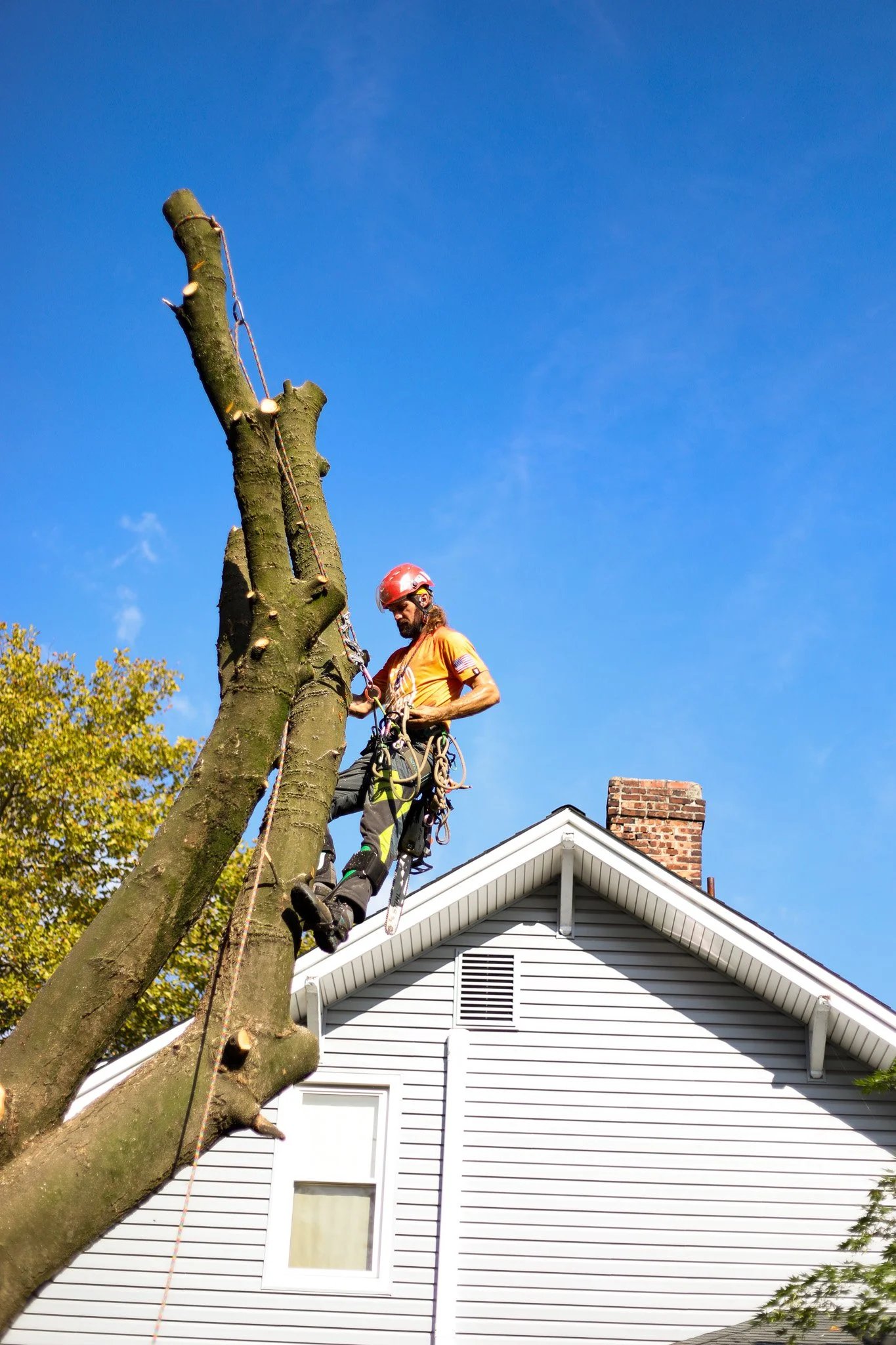 Root-zone documentation for an expert report