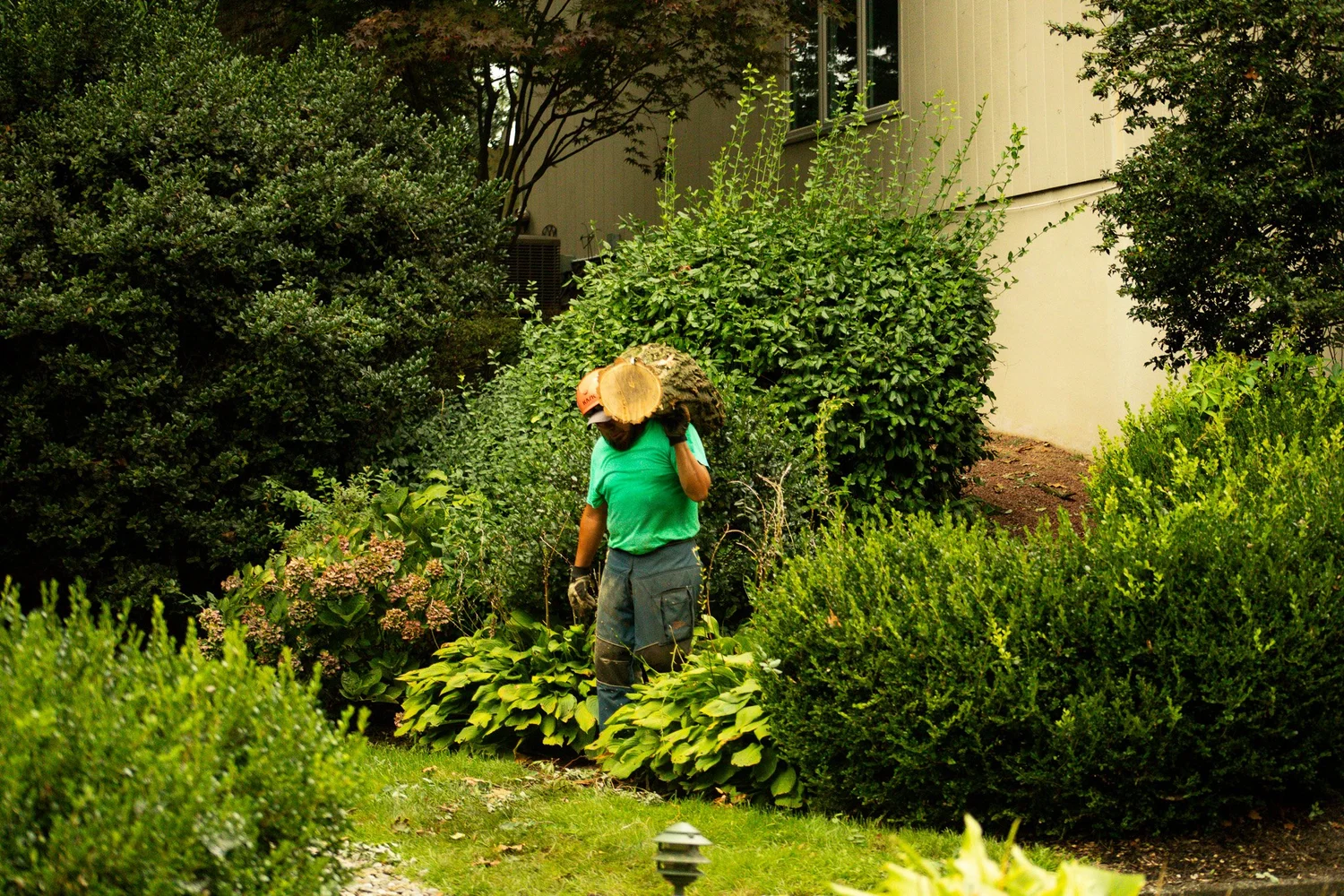 Hazard tree assessment after severe weather