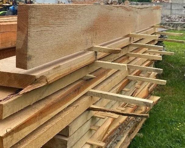 Live-edge slabs stickered and drying in the Tree Awareness yard