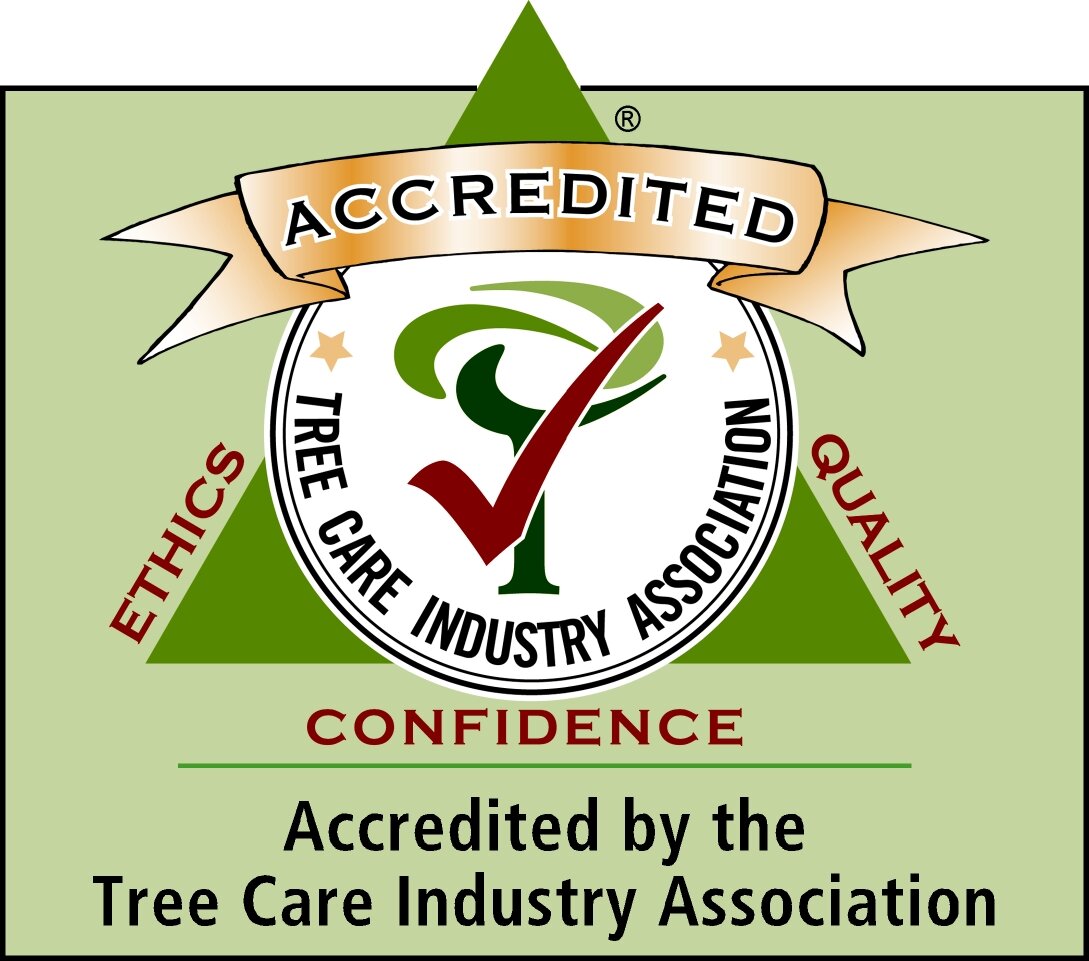 TCIA Accredited