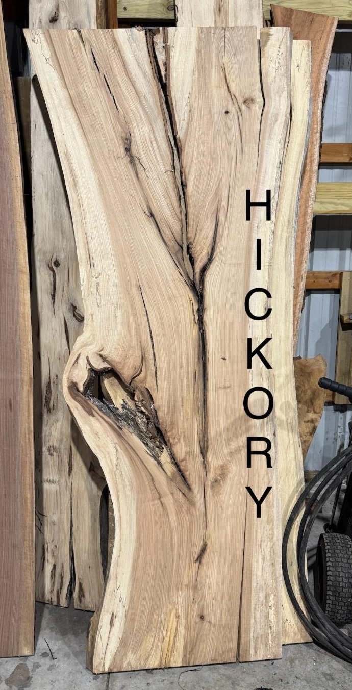 Hickory live-edge slab in the Tree Awareness yard