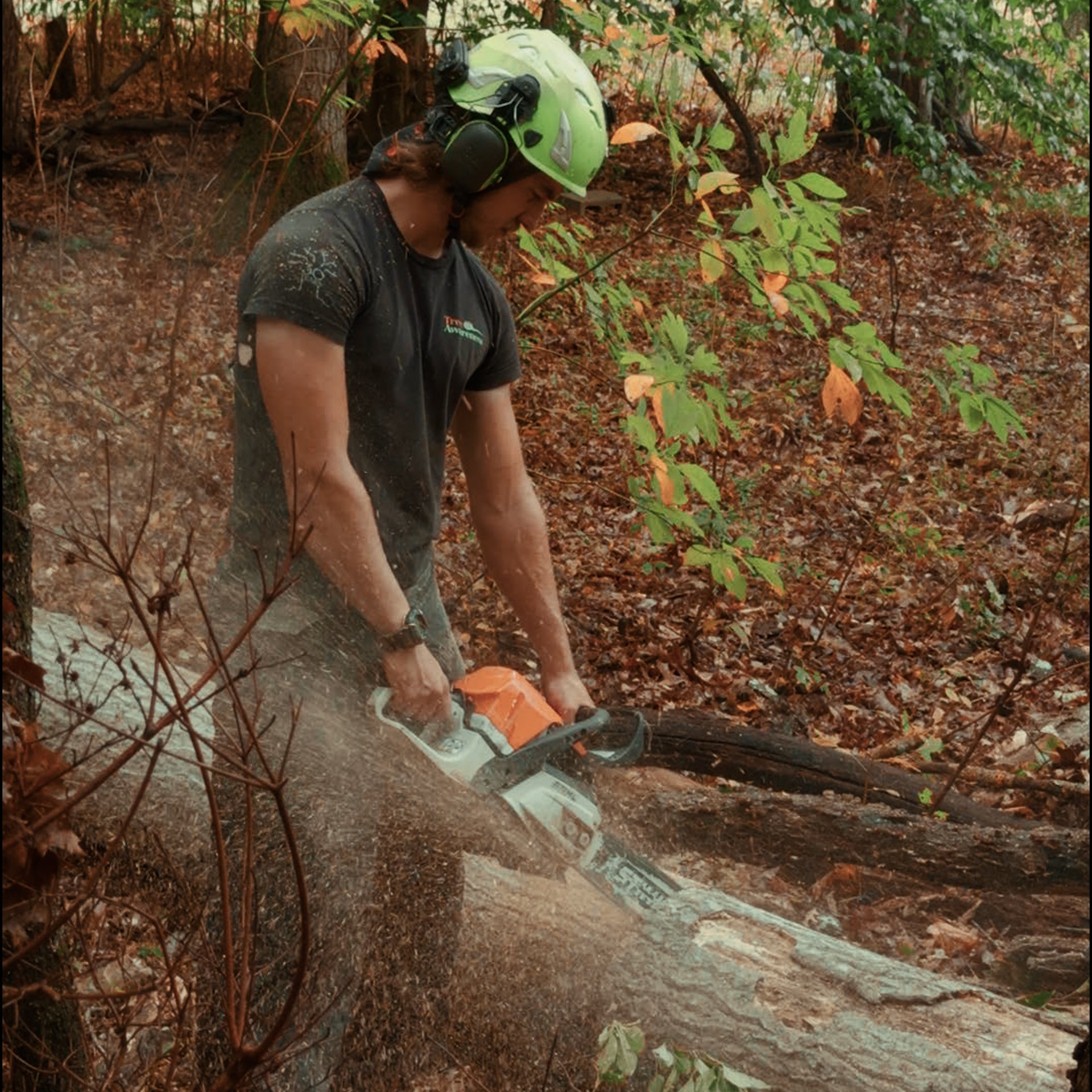 Mason — Crew Lead, Tree Awareness