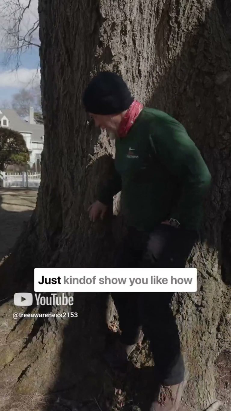 Coping Skills for Stressed Trees