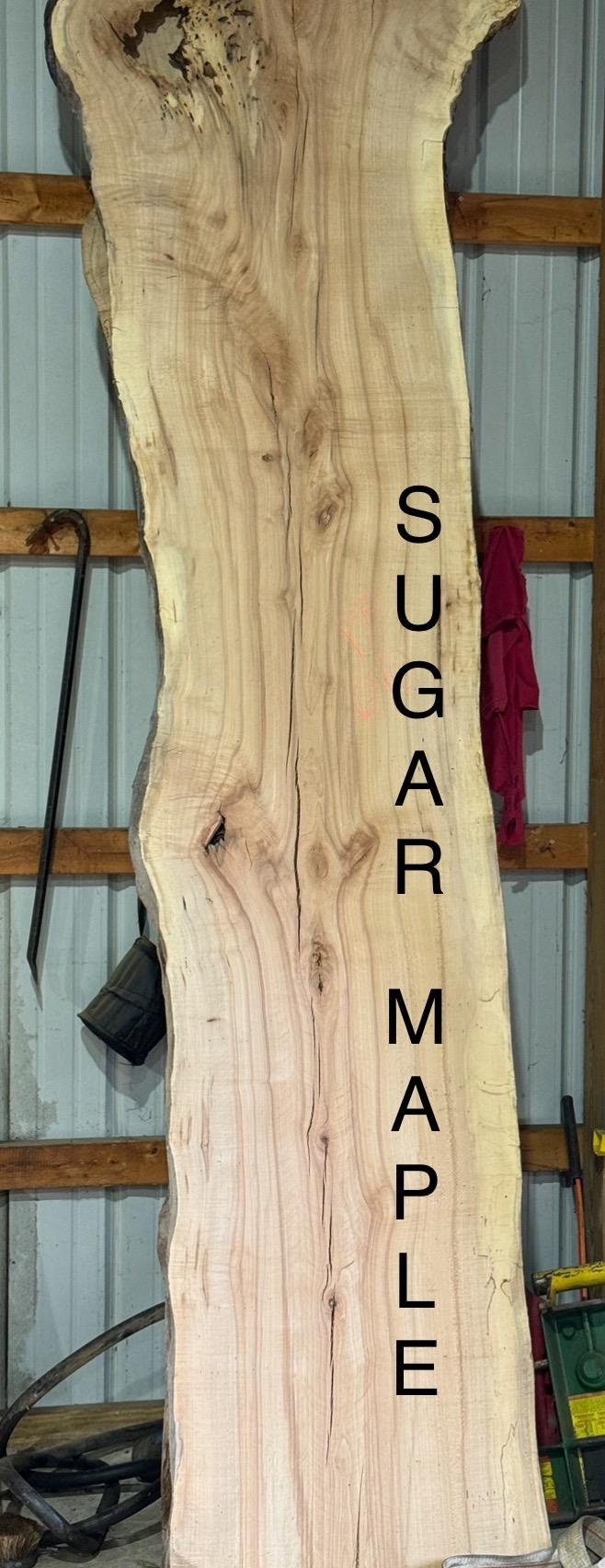 Sugar maple slab