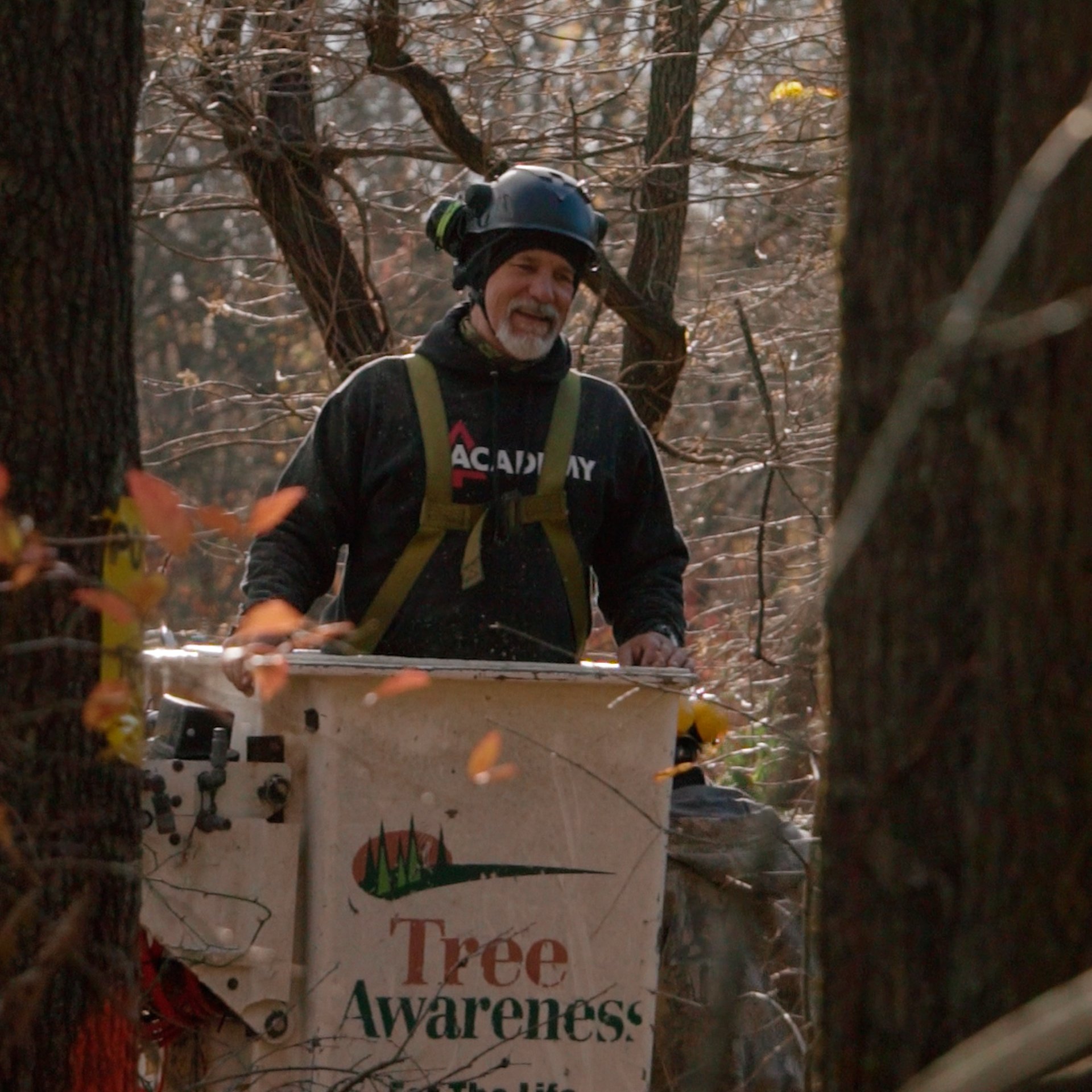 Paul Biester providing consulting arborist services on a complex tree case