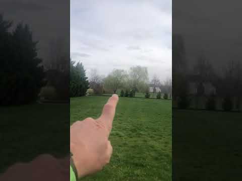 Don’t Plant Same Species in a Border Row