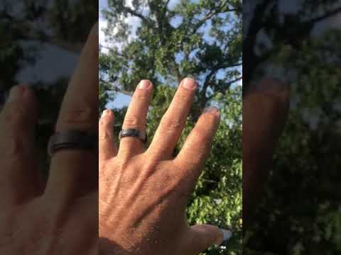 A BLS Tree Responds Positively to Treatment