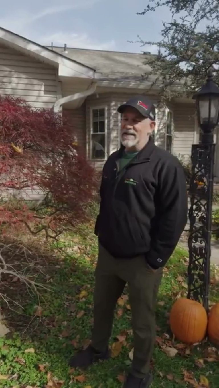 Winter Tree Risk Assessment