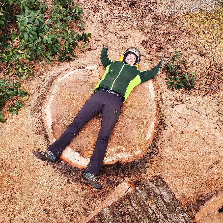 Stump grinding